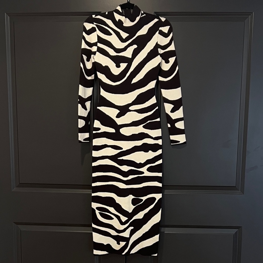 H&M Monochrome Zebra Pattern Long Sleeve Dress